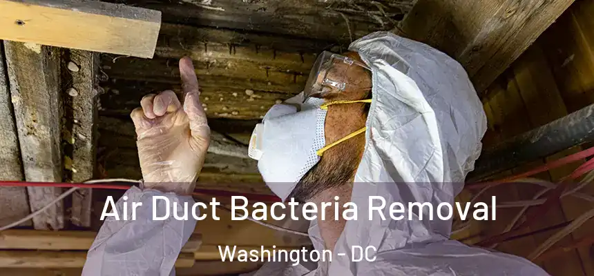 Air Duct Bacteria Removal Washington - DC