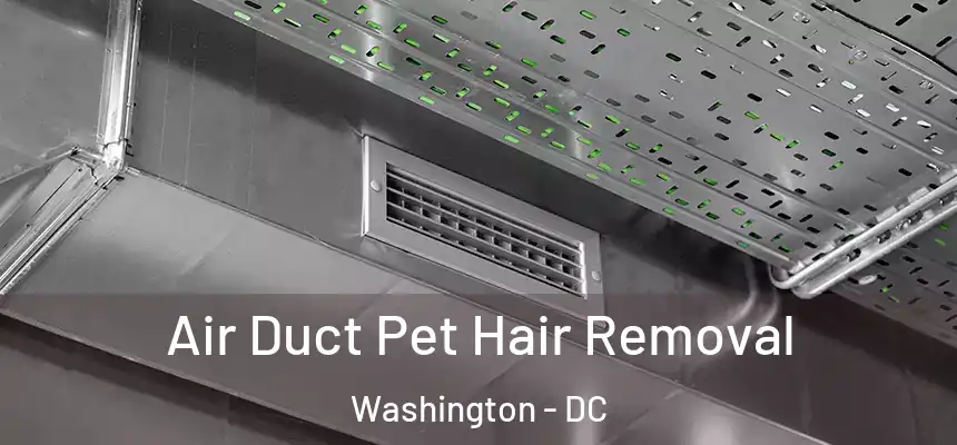 Air Duct Pet Hair Removal Washington - DC
