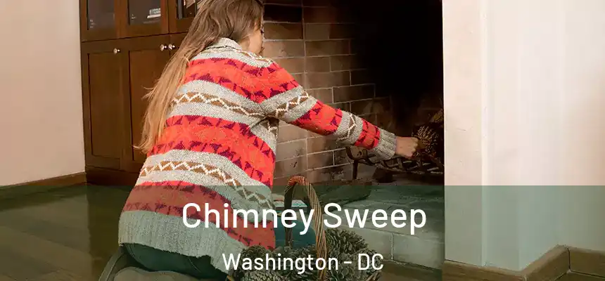 Chimney Sweep Washington - DC