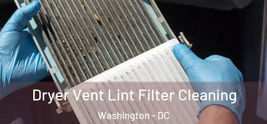Dryer Vent Lint Filter Cleaning Washington - DC
