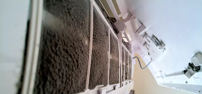 Preventive Air Duct Bacteria Removal in Washington