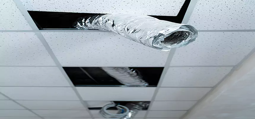 Affordable HVAC Sanitizing After Pest Removal in Washington