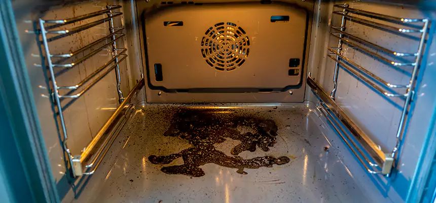 Our Dryer Vent Mold Cleaning Services in Washington, DC