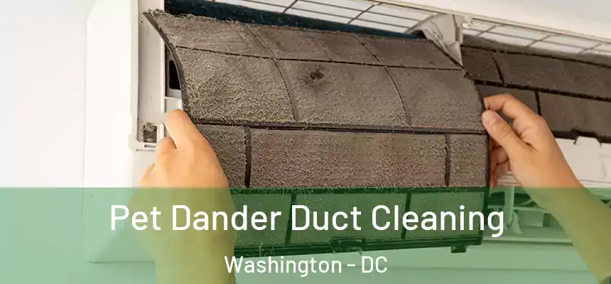 Pet Dander Duct Cleaning Washington - DC