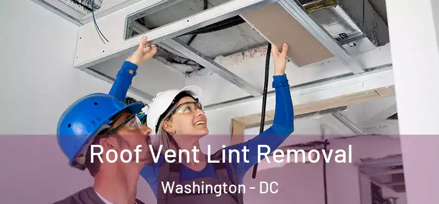 Roof Vent Lint Removal Washington - DC