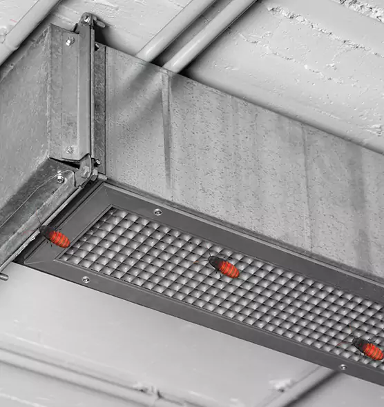 About Air Duct Cockroach Removal in Washington, DC