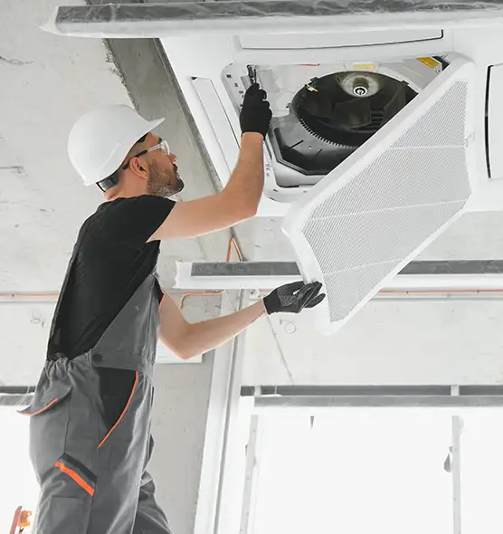 About Air Duct Rodent Removal in Washington, DC