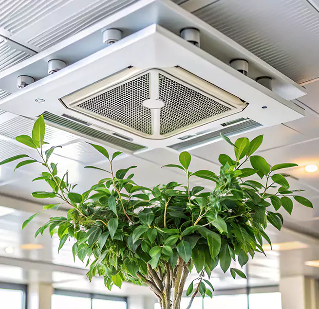 Why Homeowners & Businesses Trust Us in Washington, DC?